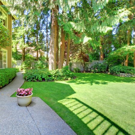 Landscape design costs in greenfield in what most homeowners actually spend