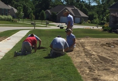 Landscape sodding