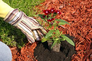 Mulch Delivery